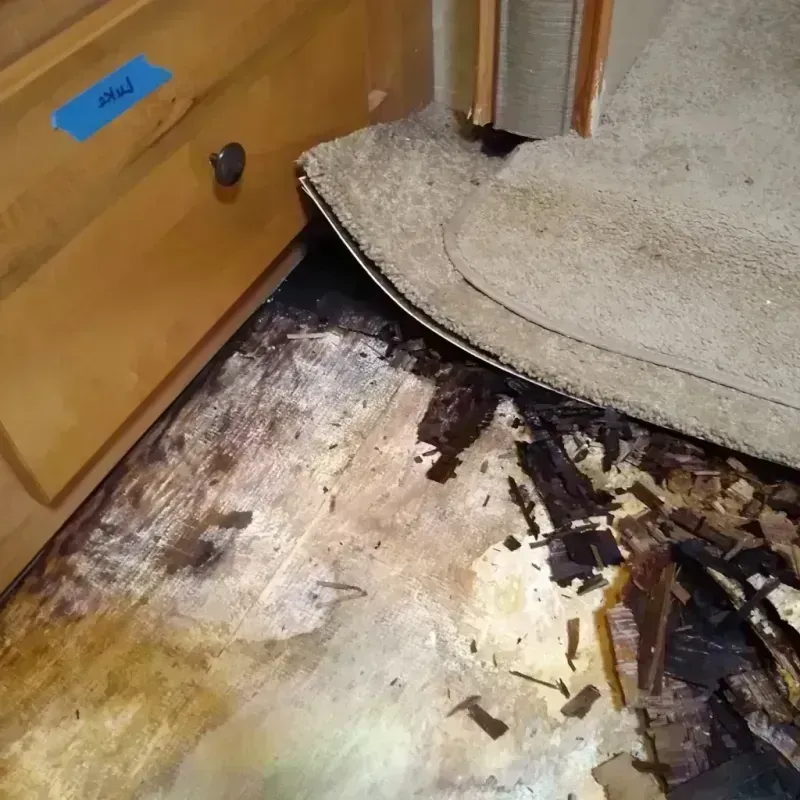 Best Wood Floor Water Damage Service in Portland, WI